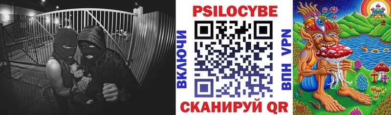 купить наркотик  Верещагино  Псилоцибиновые грибы Magic Shrooms 